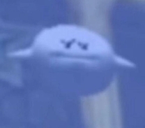 �u���O�摜