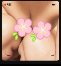 �u���O�摜