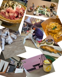 ���ε����β���