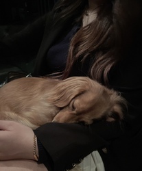 ���ε����β���