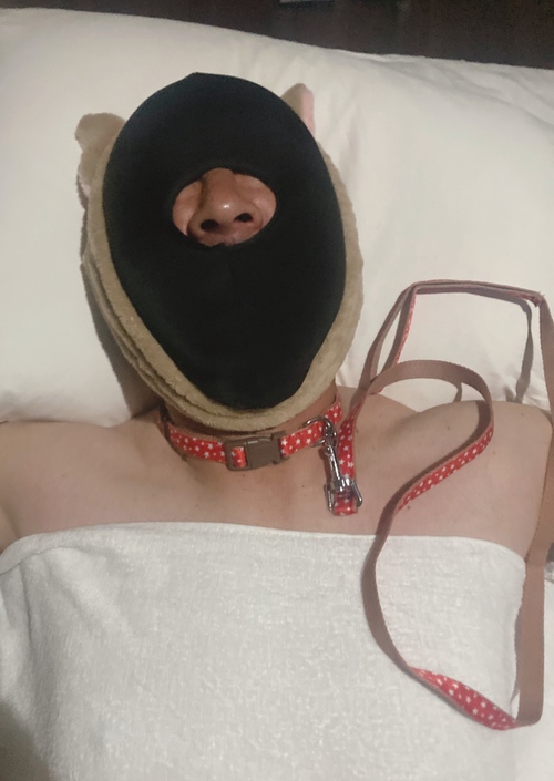 ＃お題：どんなペットを飼っていますか？or飼うならどんなペット？の画像