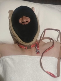 ���ε����β���