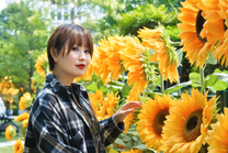 �u���O�摜