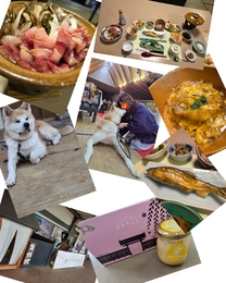 ���ε����β���