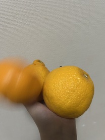 ���ε����β���