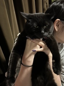 ���ε����β���