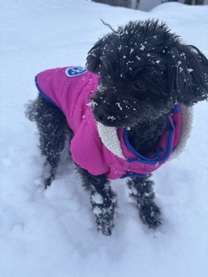 ���ε����β���