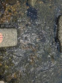 ĈI