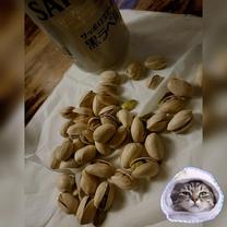 �������ł�?