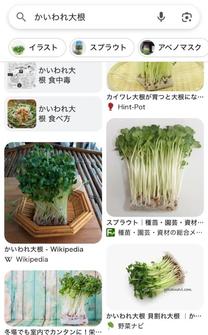 �������肪�Ƃ��I