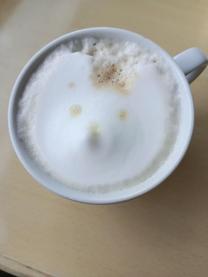 �j���Ȃ̂�