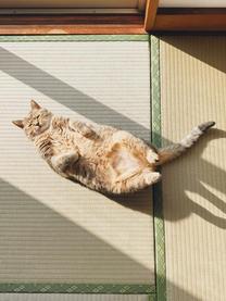 ���N����...