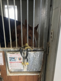 �u���O�摜