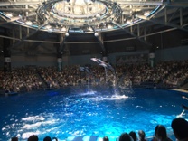 �u���O�摜
