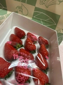 �T���^����