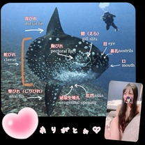 ���͂��ł���??