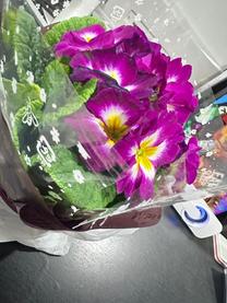 ���肪�Ƃ��������܂���