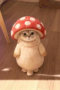 �������...