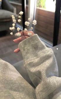 ����̂���ł�??