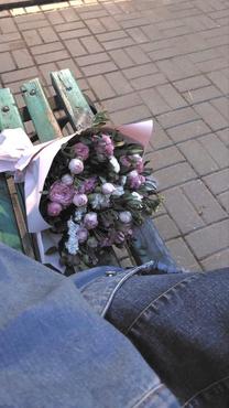 �u���O�摜