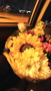 ����̂���?