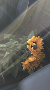 ����̂�...