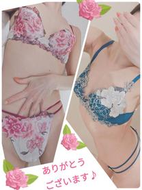 GEM216���`�̂��Z�l��