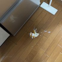�u���O�摜