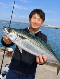 �u���O�摜