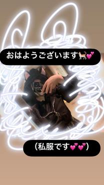 �u���O�摜