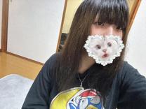 �u���O�摜