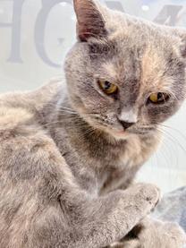 �v���Ԃ�c...