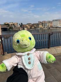 �u���O�摜