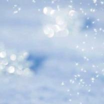 �v���E�X...