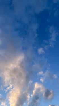 ������...