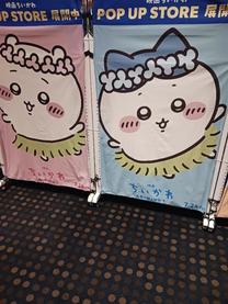 �u���O�摜
