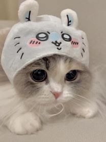 肪Ƃ??