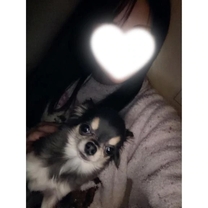 �u���O�摜