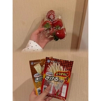 �u���O�摜