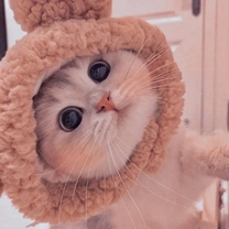 2026�N���X������