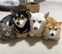 ͂悤 ...