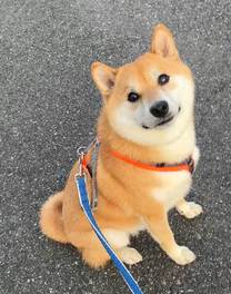 ˁ` ...