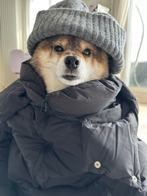 ���ε����β���