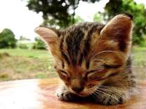 ���ε����β���