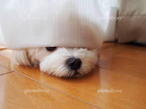 ���ε����β���