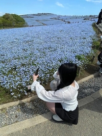 �u���O�摜