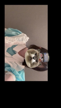 �u���O�摜