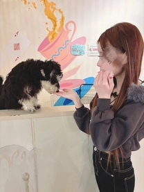 �u���O�摜