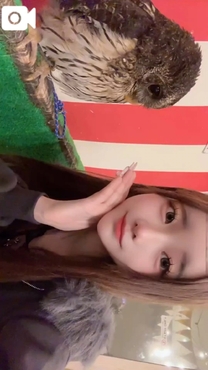 �u���O�摜