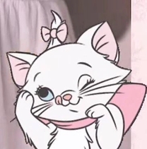 5܂